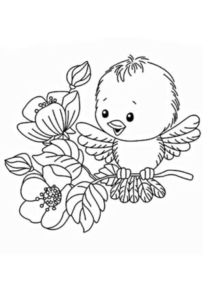 animais desenhos para colorir