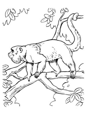 animais desenhos para colorir