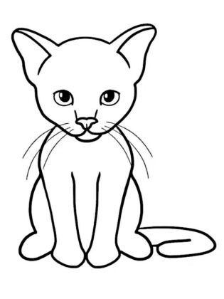 animais para colorir