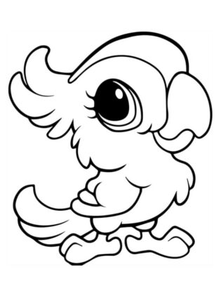 animais para colorir