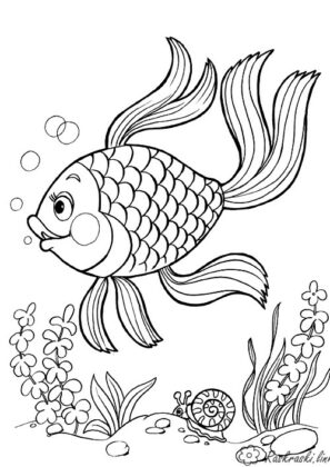 animais para colorir e imprimir