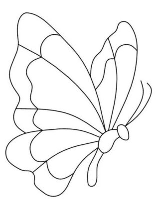borboleta desenho para colorir