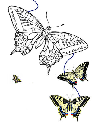 borboleta para colorir e imprimir
