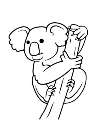 desenho animais para colorir