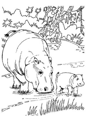 desenho animais para colorir