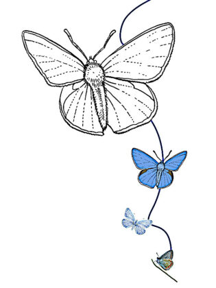 desenho de borboleta para colorir