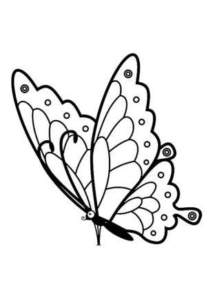 desenho de borboleta para colorir