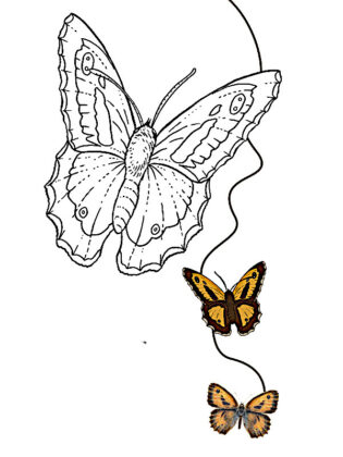 desenho de borboleta para colorir
