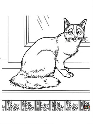 desenho de gatos para colorir