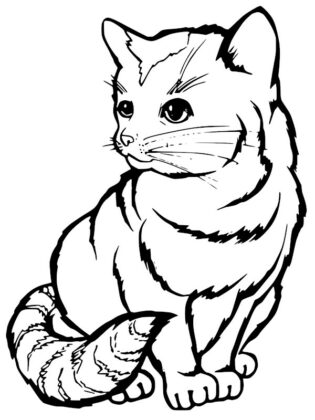 desenho de gatos para colorir