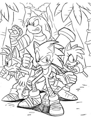 desenhos para colorir sonic