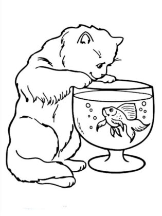desenho gato para colorir