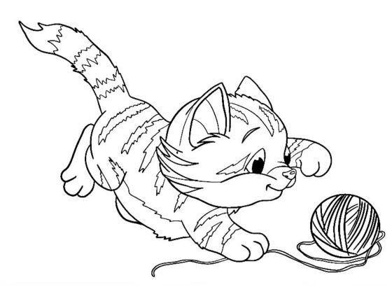 desenho gato para colorir