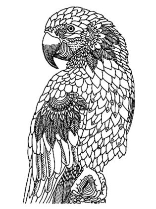 desenho mandalas para colorir