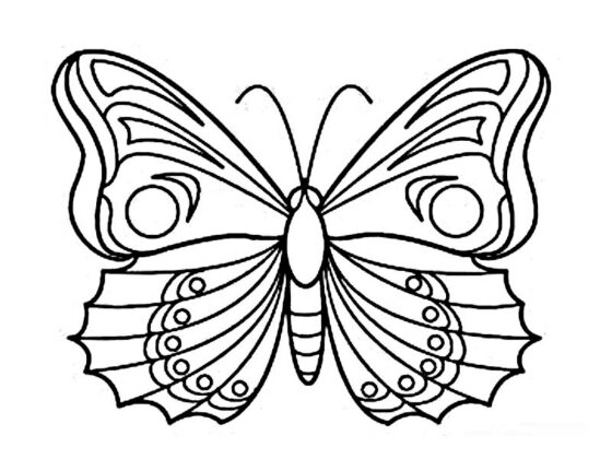 desenho para colorir borboleta
