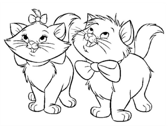 desenho para colorir gatinho