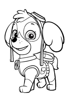 desenho patrulha pata para colorir