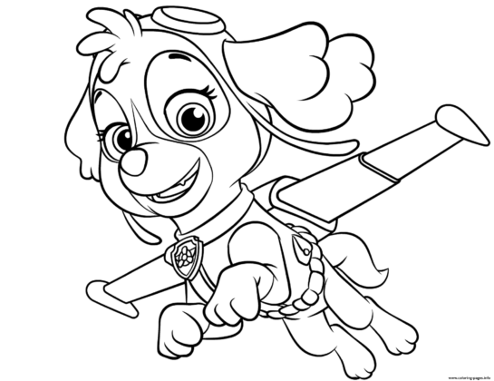 desenho patrulha pata para colorir