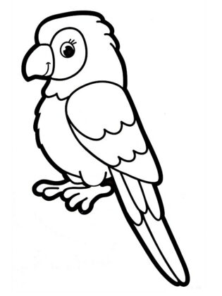 desenhos de animais para colorir