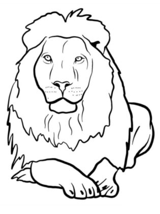 desenhos de animais para colorir