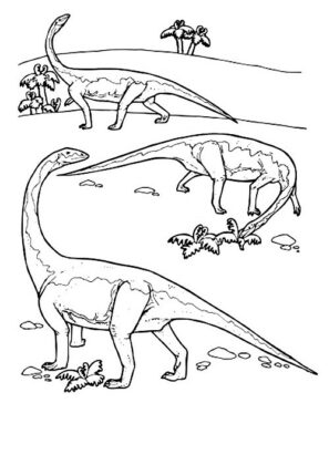 desenhos de dinossauros para colorir