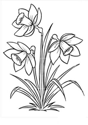 desenhos de flores para colorir e imprimir