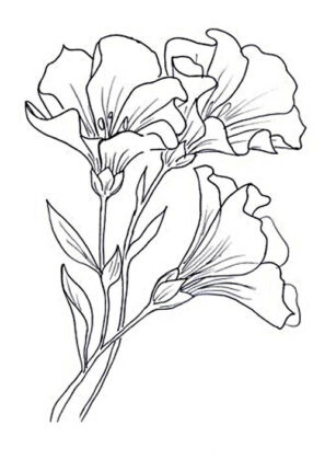 desenhos de flores para colorir e imprimir