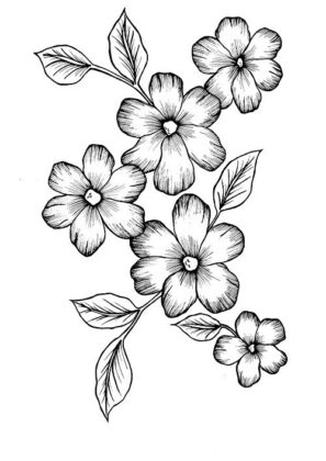 desenhos de flores para imprimir