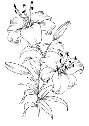 desenhos de flores para imprimir