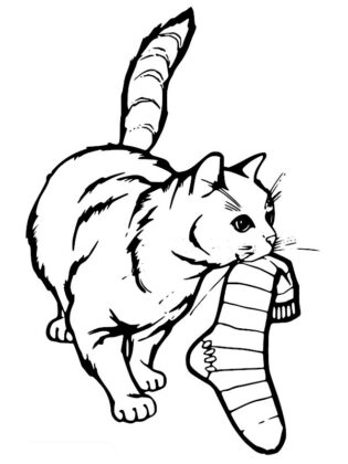desenhos de gato para colorir