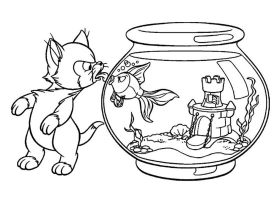 desenhos de gato para colorir