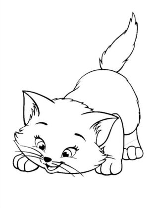 desenhos de gatos para colorir