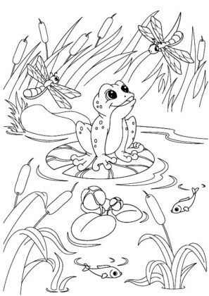 desenhos para colorir de animais