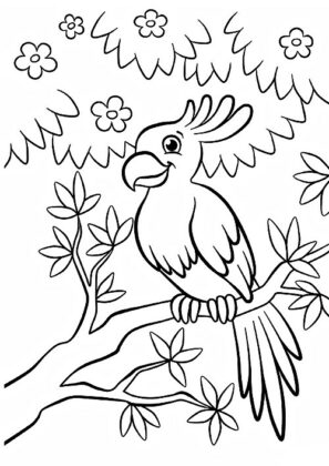 desenhos para colorir animais