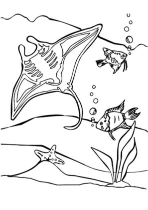 desenhos para colorir animais