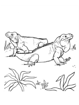 desenhos para colorir animais
