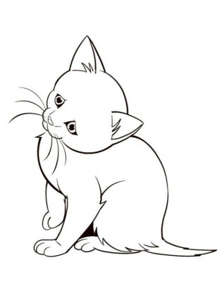desenhos para colorir de animais