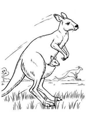 desenhos para colorir de animais