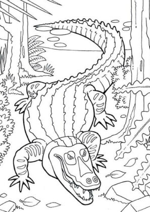 desenhos para colorir de animais