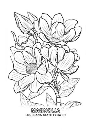 desenhos para colorir flores