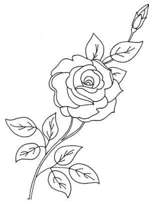 desenhos para colorir flores