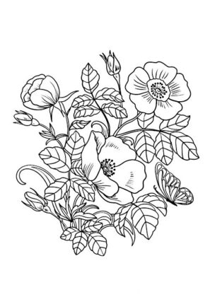desenhos para colorir flores