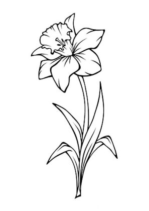 desenhos para colorir flores