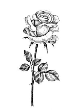 desenhos para colorir flores