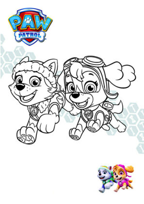 desenhos para colorir patrulha pata