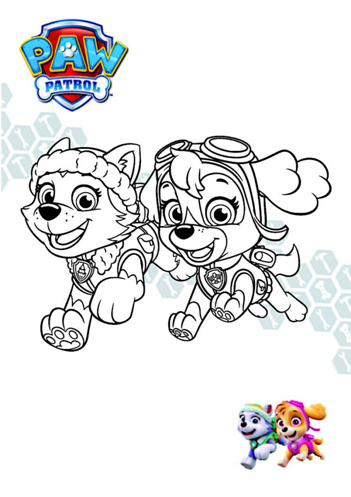Patrulha Pata para Colorir : 30 desenhos para imprimir