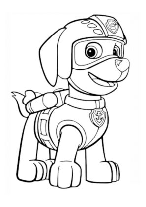 desenhos para colorir patrulha pata