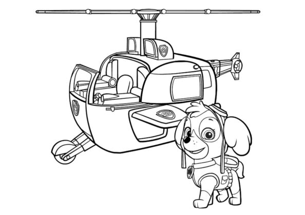 desenhos para colorir patrulha pata