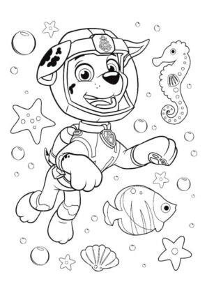desenhos para colorir patrulha pata