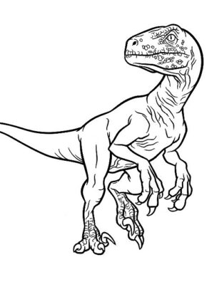 dinossauro para colorir